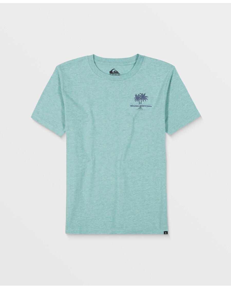 Quiksilver Boys 2-7 Beach T-shirt - Akvifer Ljung